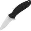 Kershaw Scallion Linerlock A/O Stainless Folding Blade Black Handle Knife 1620X