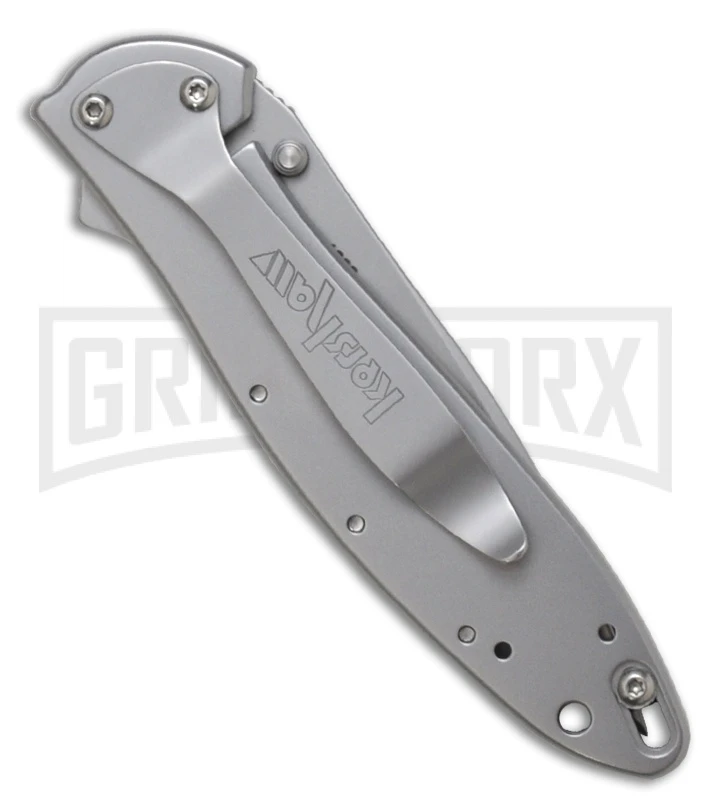 Kershaw Leek Assisted Opening Knife - Bead Blast Serr - Image 2